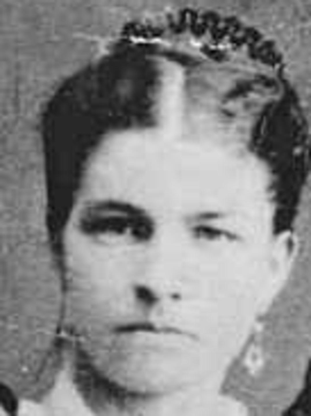 Louisa Gheen (1843 - 1932) Profile